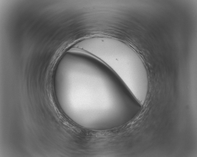 X0000058760241200509300821