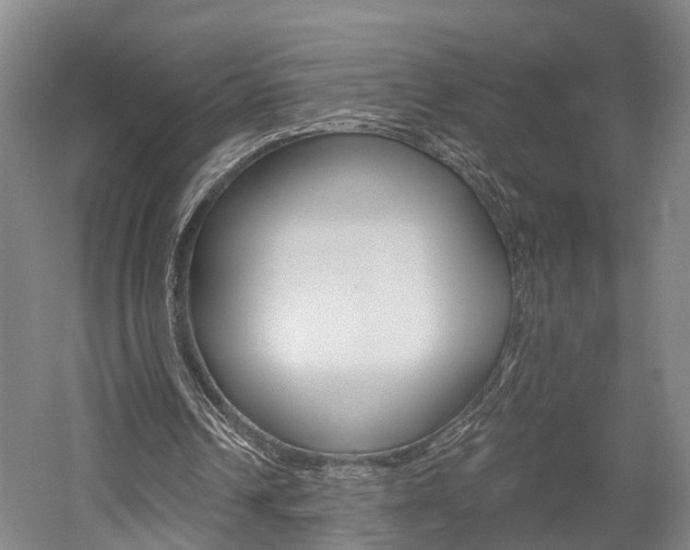 X0000058760242200509300821