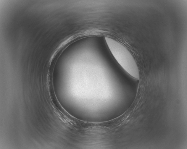 X0000058760244200509300821