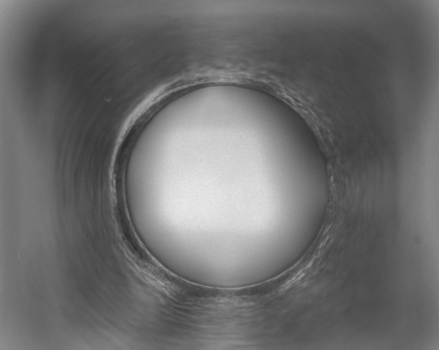 X0000058760246200509300821