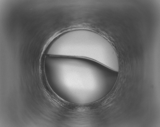 X0000058760248200509300821