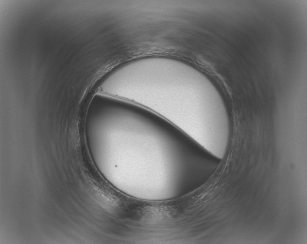 X0000058760250200509300821
