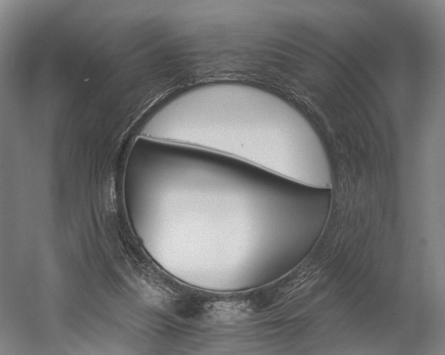 X0000058760251200509300821