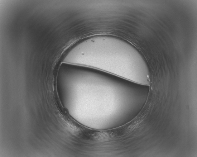 X0000058760253200509300821