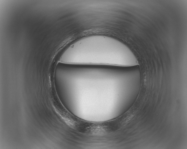 X0000058760254200509300821