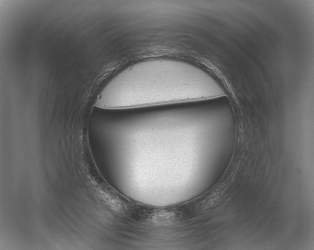 X0000058760257200509300821