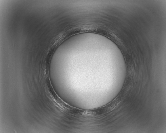 X0000058760261200509300821