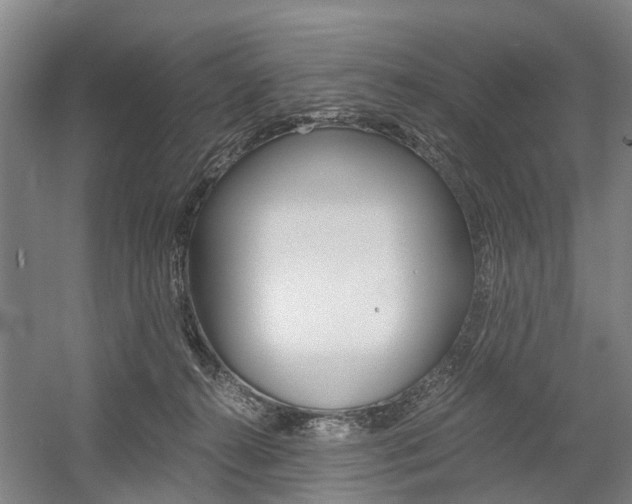 X0000058760272200509300821