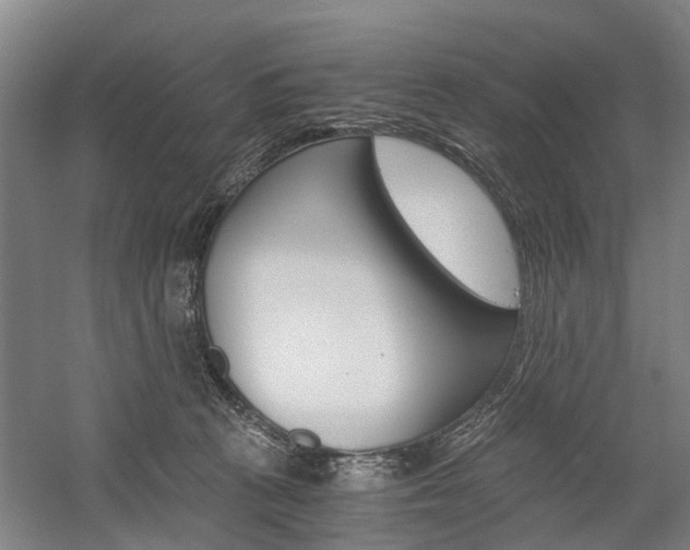 X0000058760273200509300821