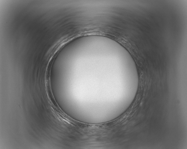 X0000058760290200509300821