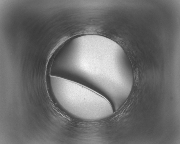 X0000058760292200509300821