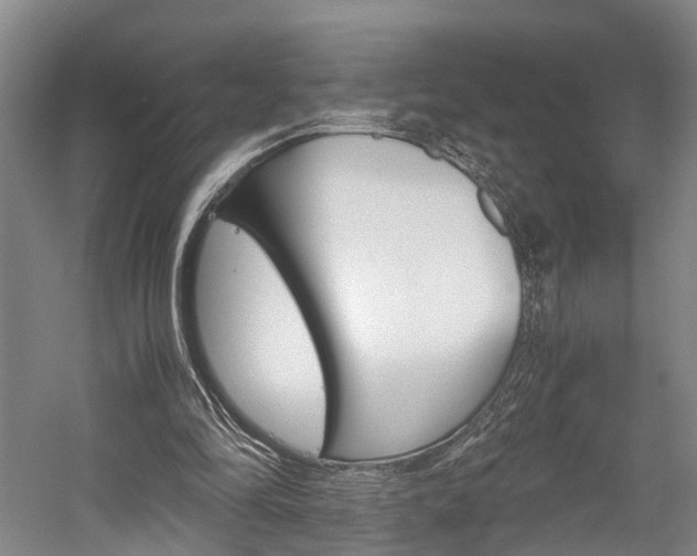 X0000058760294200509300821