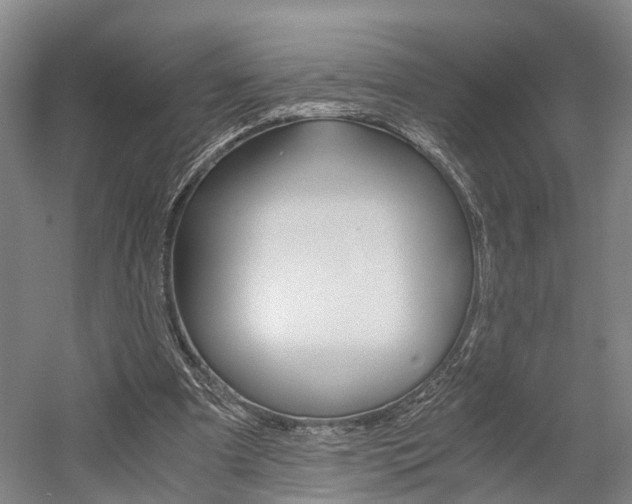 X0000058760297200509300821