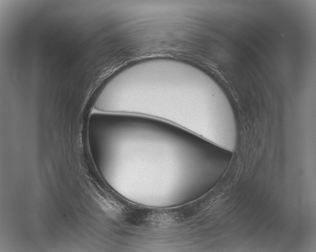X0000058760299200509300821