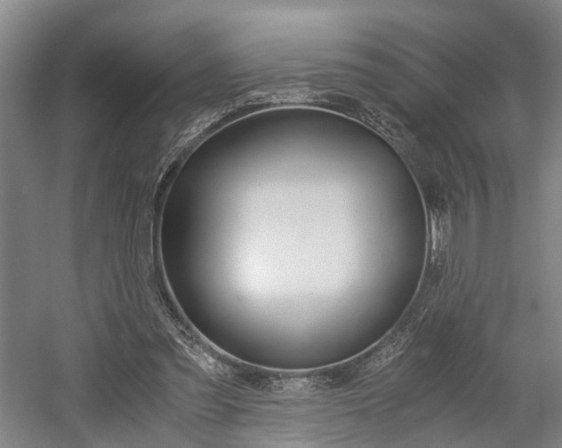 X0000058760301200509300821