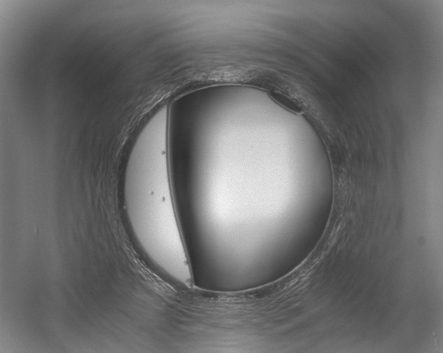 X0000058760305200509300821