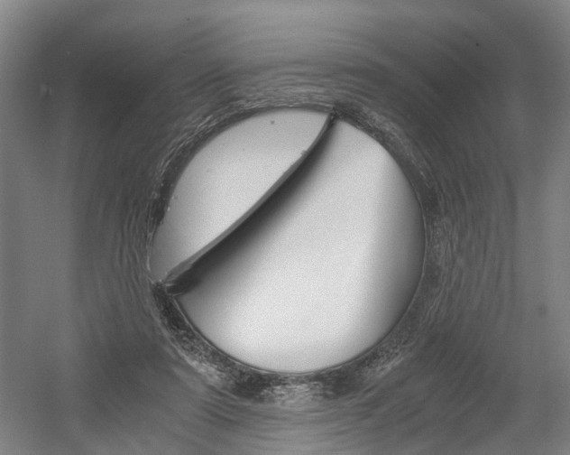 X0000058760307200509300820