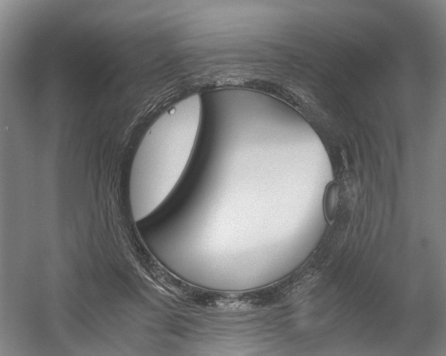 X0000058760311200509300820