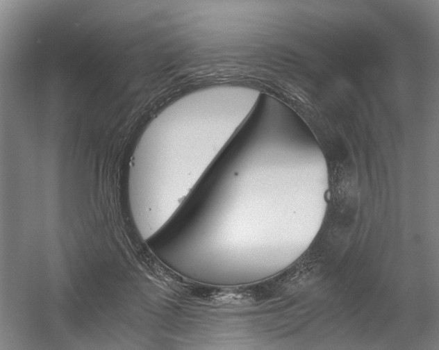 X0000058760315200509300820