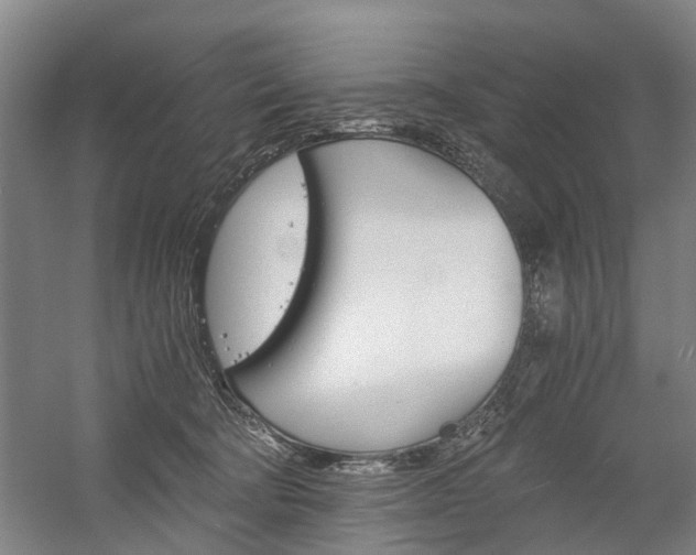 X0000058760322200509300820
