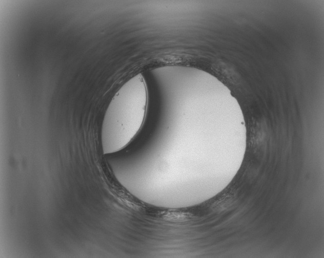 X0000058760332200509300820