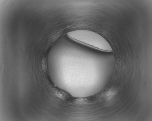 X0000058760335200509300820