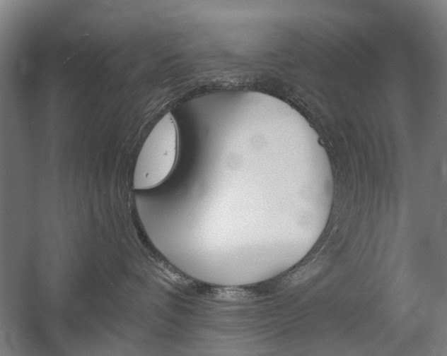 X0000058760336200509300820