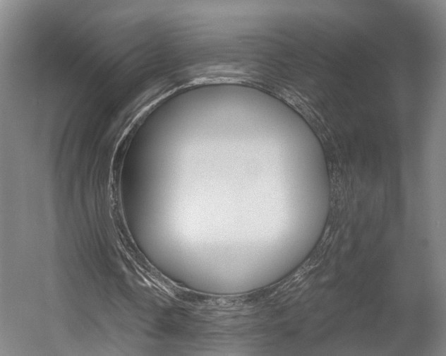 X0000058760338200509300819