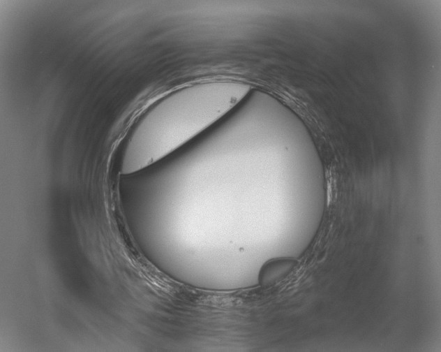X0000058760339200509300819