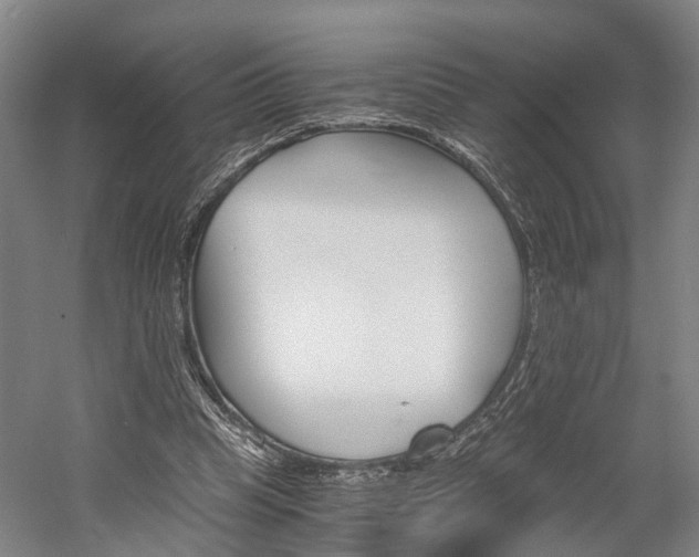 X0000058760345200509300819