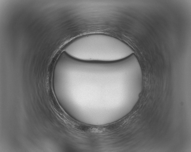X0000058760346200509300819