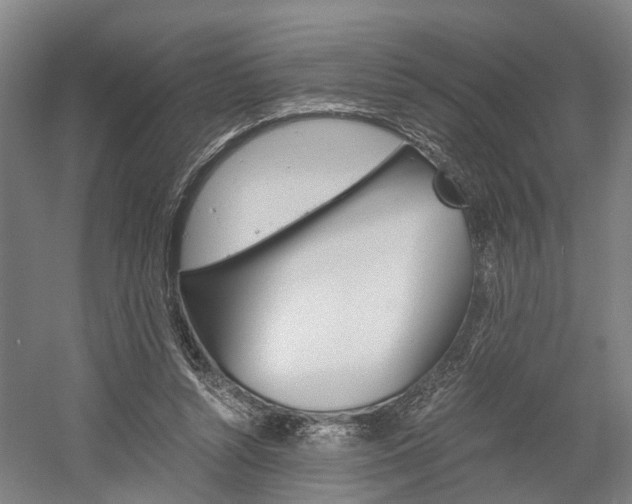 X0000058760352200509300819