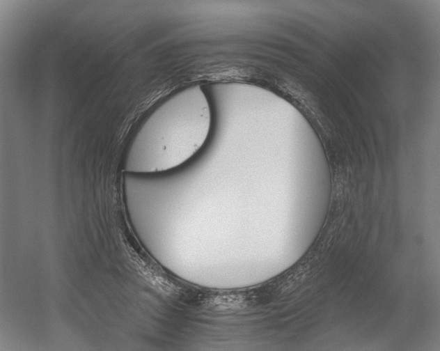X0000058760353200509300819