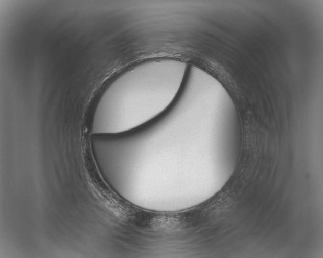 X0000058760354200509300819