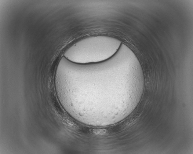 X0000058760355200509300819