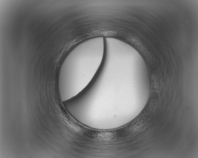X0000058760357200509300820