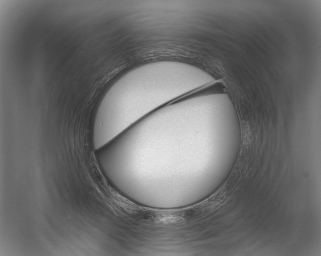 X0000058760360200509300820