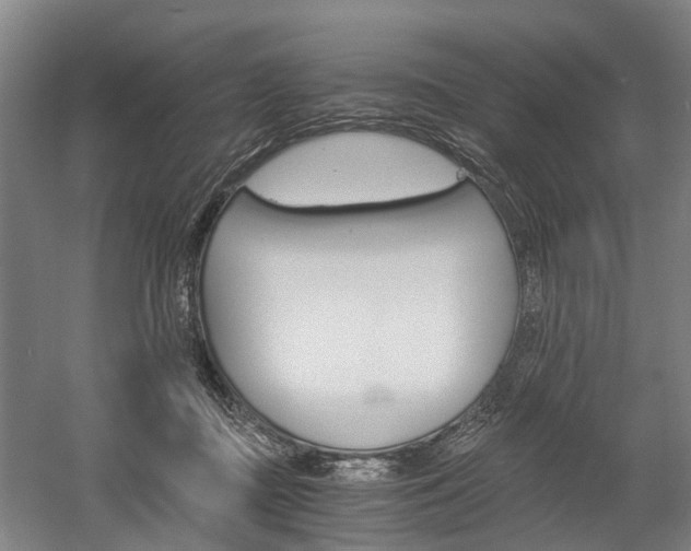 X0000058760363200509300820