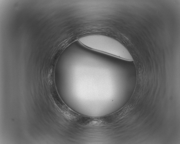 X0000058760364200509300820