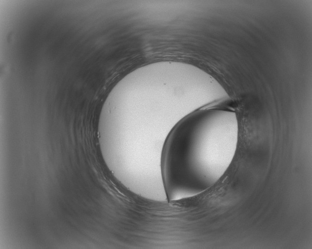 X0000058760380200509300820