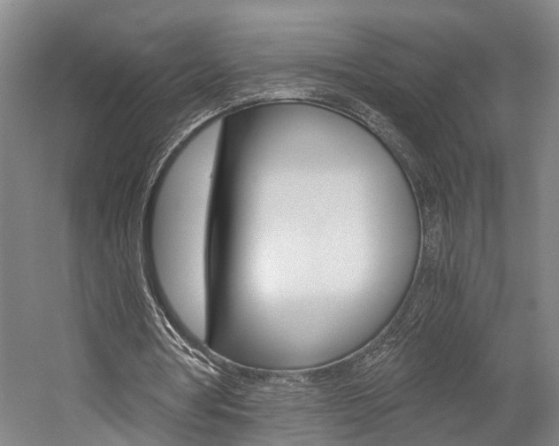 X0000058760386200509300819