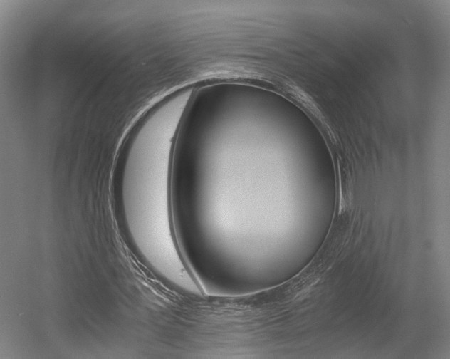 X0000058760387200509300819