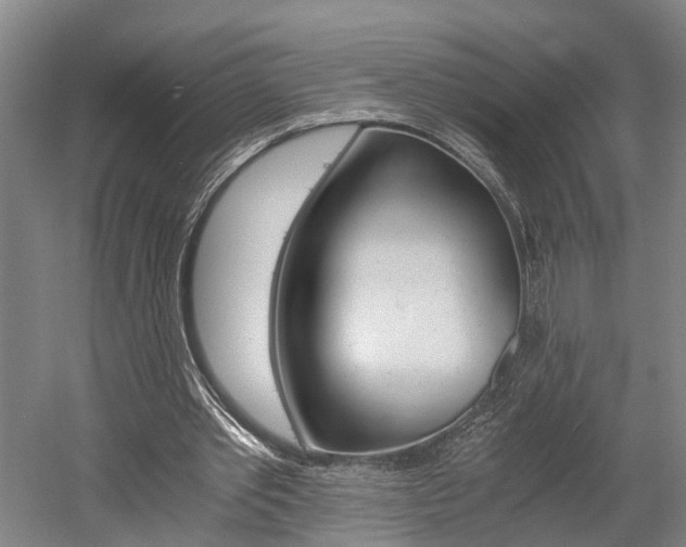 X0000058760389200509300819
