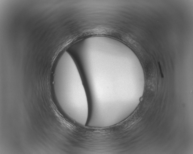 X0000058760394200509300819