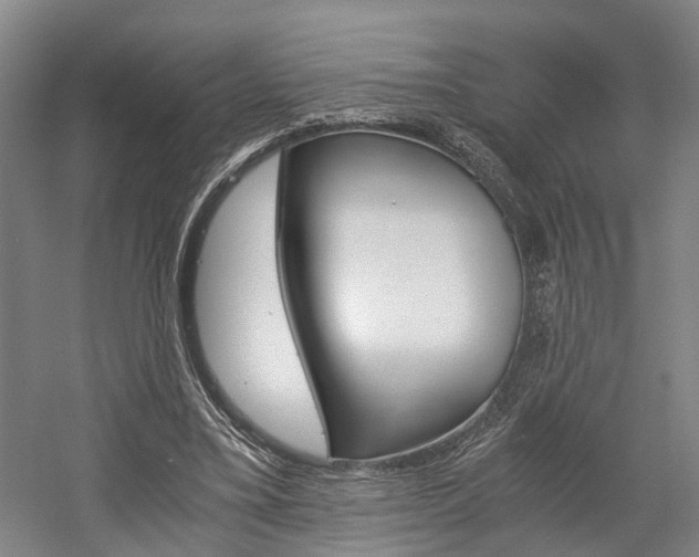 X0000058760395200509300819