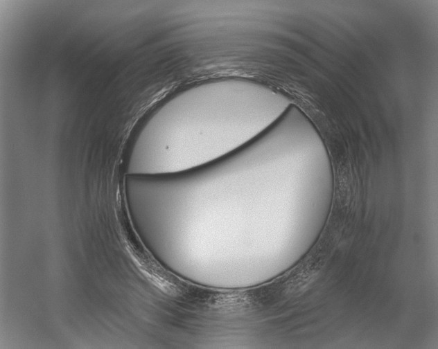 X0000058760398200509300819