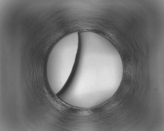 X0000058760402200509300819