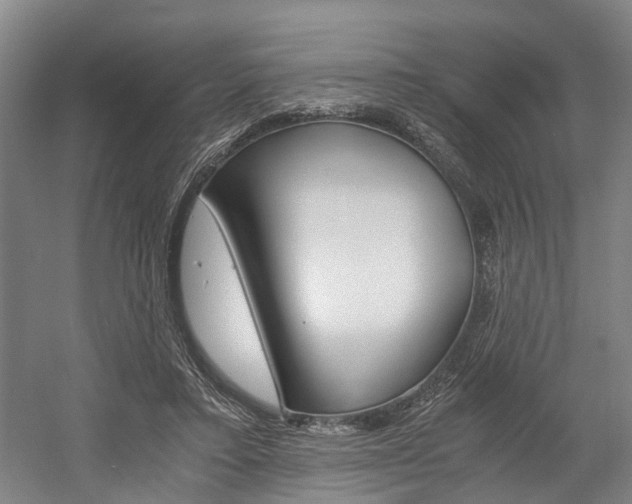 X0000058760403200509300819