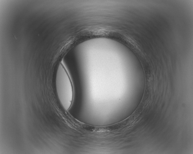 X0000058760407200509300819