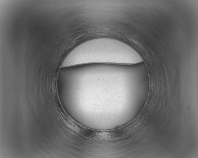 X0000058760409200509300819